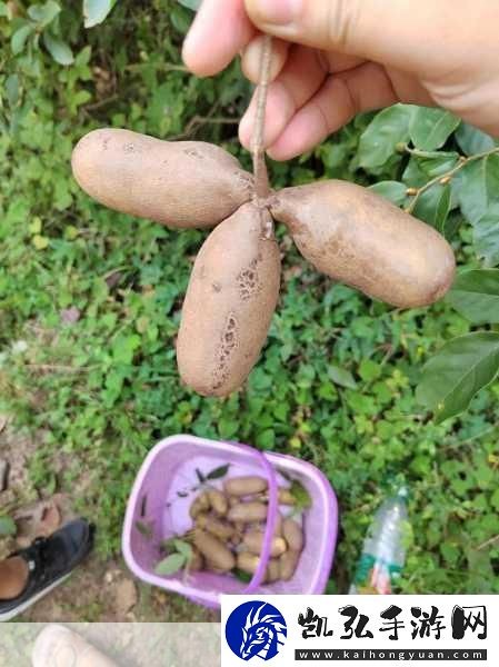 海角吃瓜黑料