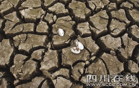 百位体娱明星关怀西南大旱