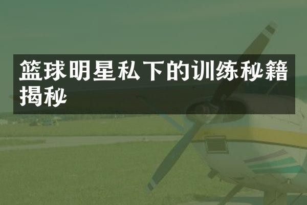 篮球明星私下的训练秘籍揭秘