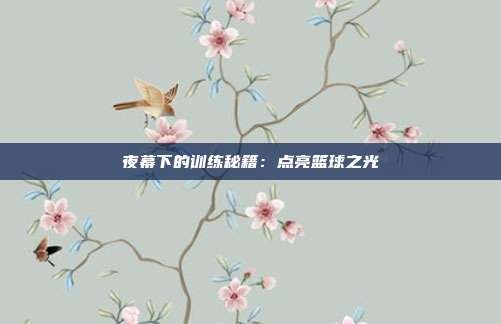 夜幕下的训练秘籍:点亮篮球之光
