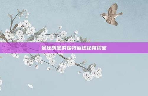 足球明星的独特训练秘籍揭密