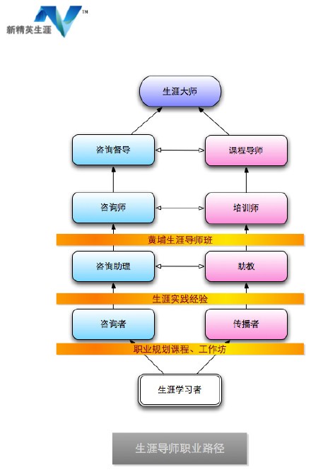 生涯导师职业发展路径