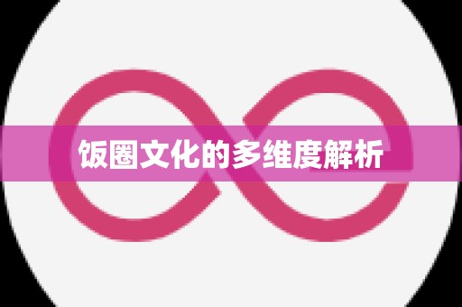 饭圈文化的多维度解析