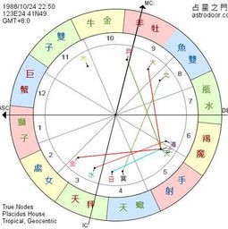 揭秘生肖星座命盘:如何精准解读你的未来运势?