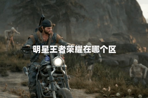 明星王者荣耀在哪个区