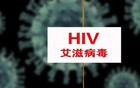 惊！这些地区竟是我国艾滋病高发区，原因令人深思
