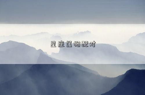 星座属相配对