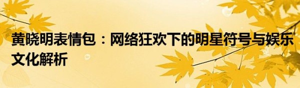 黄晓明表情包：网络狂欢下的明星符号与娱乐文化解析