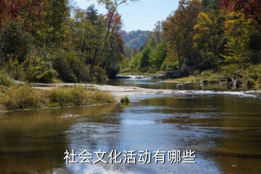 社会文化活动有哪些