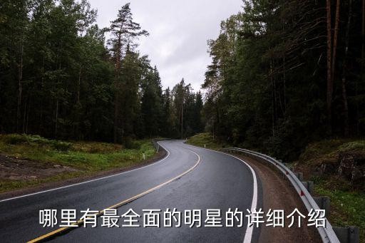 明星简介,关于明星的资料