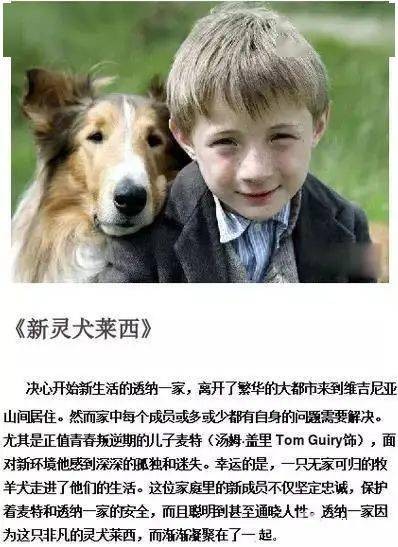 电影狗阵生怕我认出来这些明星_电影节黑马，人性与社会边缘的真实面貌《狗阵》