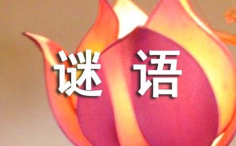 猜明星名字的谜语