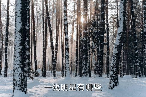 一线明星有哪些