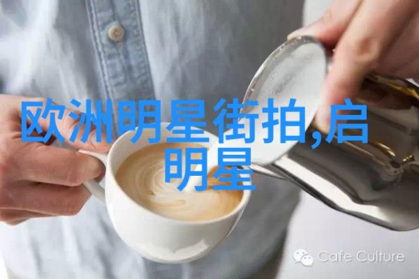 闪耀星光明星节目中的时尚探索
