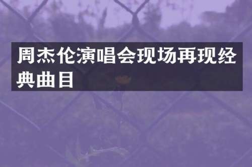 周杰伦<a target=