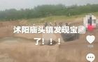 江苏沭阳挖出古墓？当地文旅局回应