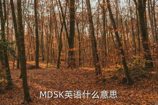 MDSK英语什么意思
