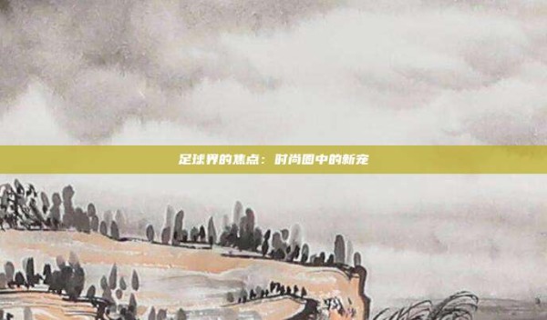 足球界的焦点:时尚圈中的新宠