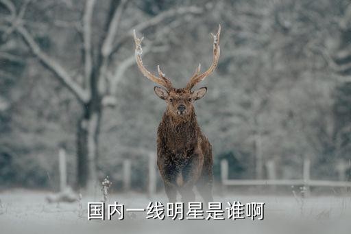 国内一线明星是谁啊