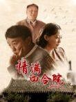 情满四合院1集在线观看