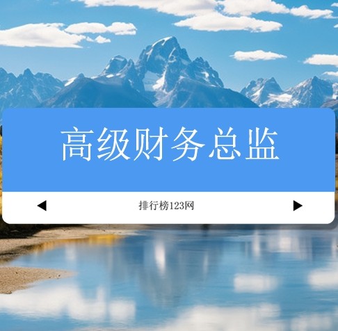 高级财务总监