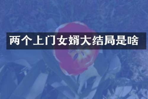 两个上门女婿大结局是啥