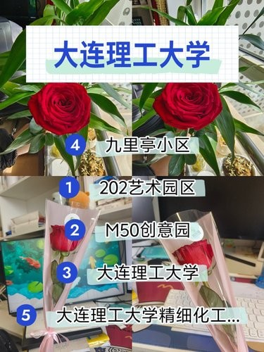 玫瑰色的浪漫一角