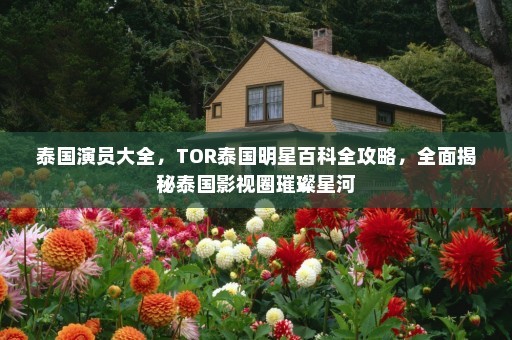 泰国演员大全，TOR泰国明星百科全攻略，全面揭秘泰国影视圈璀璨星河