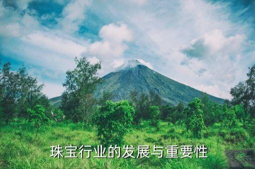  珠宝行业的发展与重要性