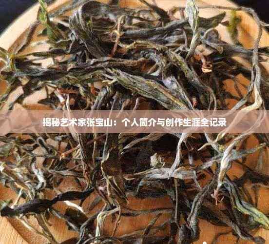 揭秘艺术家张宝山：个人简介与创作生涯全记录