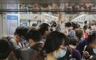 告诉你一个坏消息：上海深圳出现3大怪象，正在快速蔓延