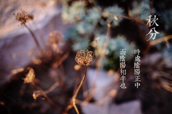 7f9597a551.jpg