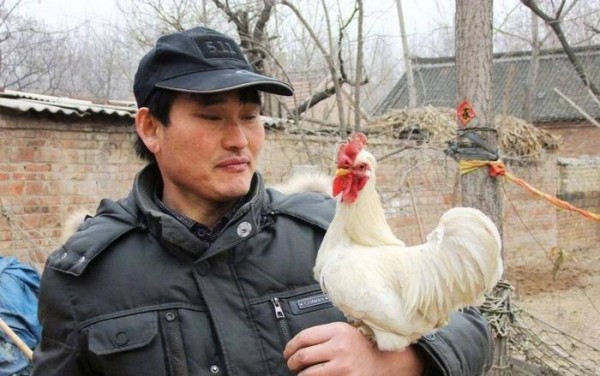 明星抗疫暖心行为：肖战艺兴低调捐物，谢娜邀医护人员看《快本》
