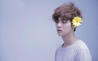 夏志远回复鹿晗 哥你也抓紧_夏志远隔空回复鹿晗：哥，你也该抓紧了！娱乐圈好友们也挺着急的