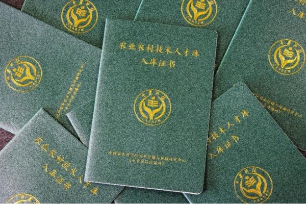 人才入库是什么意思啊