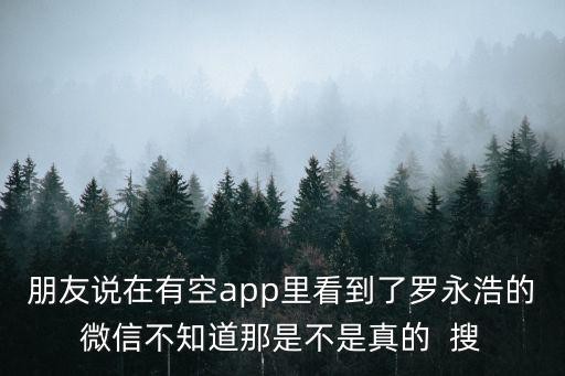 朋友说在有空app里看到了罗永浩的微信不知道那是不是真的 搜