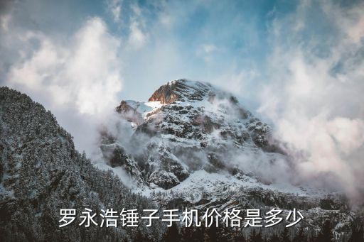罗永浩锤子手机价格是多少