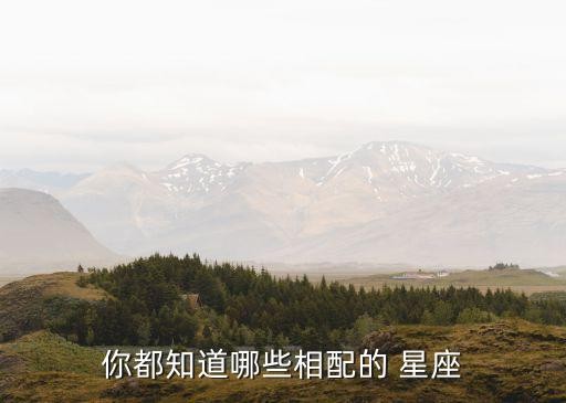 你都知道哪些相配的 星座