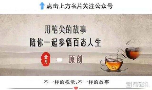 她把胡歌亲到吐，对着张嘉益又狂亲100次，被称最“放得开”的女演员，却始终难以挤身一线大腕