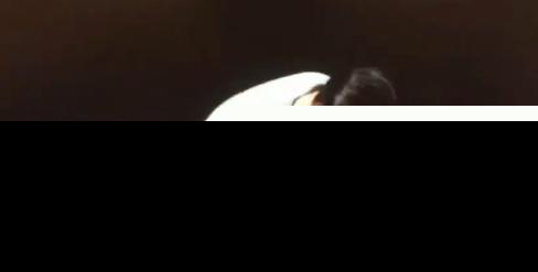 《演员的诞生》“秀”演技，胡歌当众“秀”下跪，鄙视与敬佩！