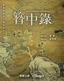 簪中录