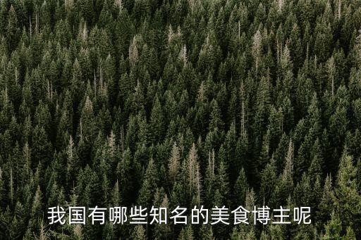 我国有哪些知名的美食博主呢