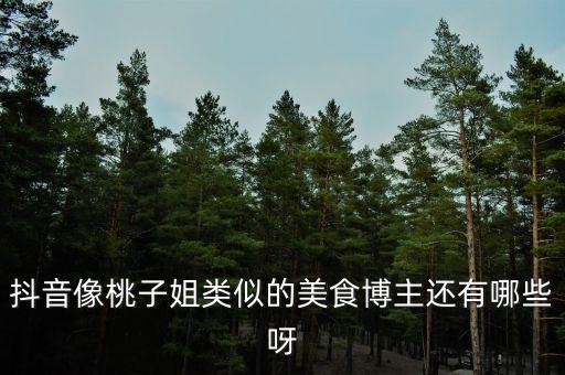 抖音像桃子姐类似的美食博主还有哪些呀