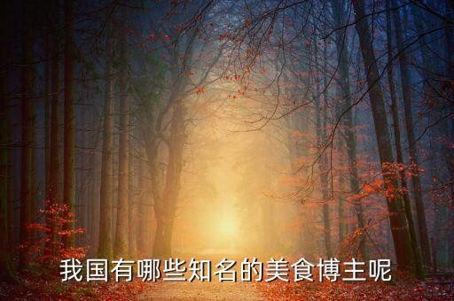 我国有哪些知名的美食博主呢