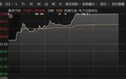突然拉升20%涨停！批量封板，基金加仓