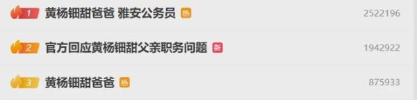17岁女明星戴230万元耳环引热议，经纪公司最新回应