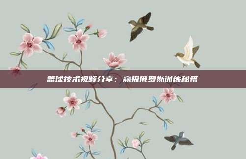 篮球技术视频<a target=