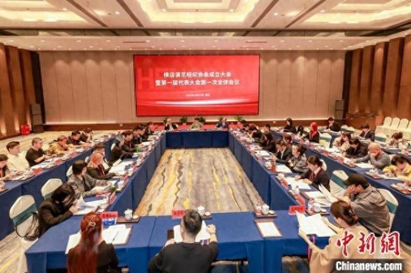 成立大会现场。主办方供图