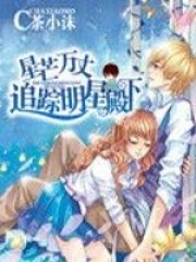 《星芒万丈：追踪明星殿下》小说在线阅读