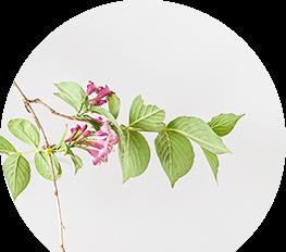 企业关键岗位员工背景调查的重要性与方法